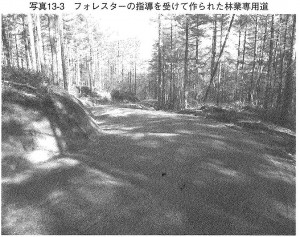 理想的な林道_日本林業は蘇る