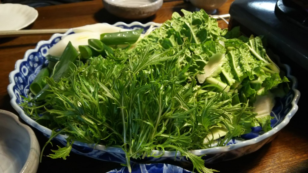 鍋用野菜_ネギ・水菜・白菜